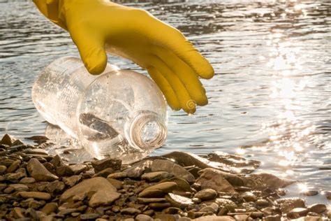 forked river garbage pick up|Forked River Trash and Treasure .